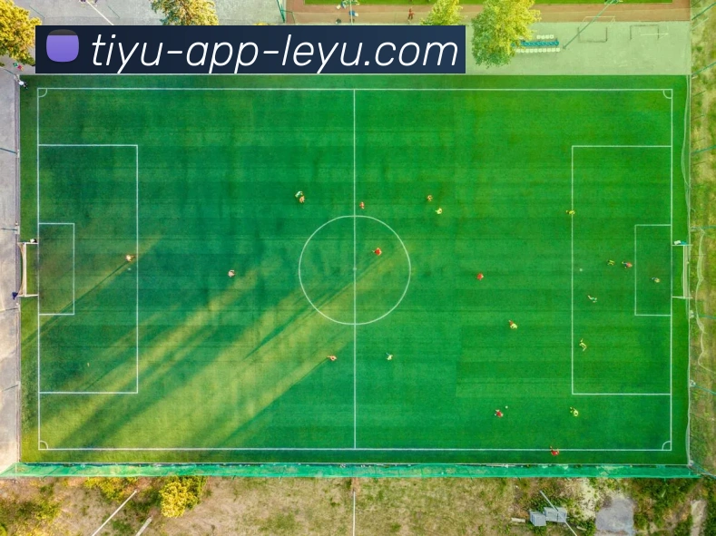 乐鱼体育平台生态图